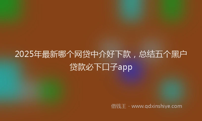 2025年最新哪个网贷中介好下款，总结五个黑户贷款必下口子app