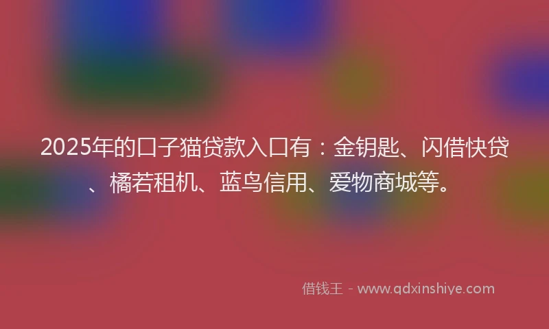 2025年的口子猫贷款入口有：金钥匙、闪借快贷、橘若租机、蓝鸟信用、爱物商城等。