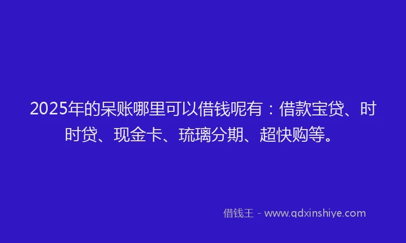 2025年的呆账哪里可以借钱呢有：借款宝贷、时时贷、现金卡、琉璃分期、超快购等。