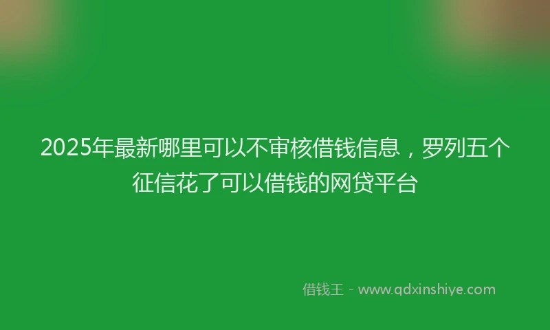 2025年最新哪里可以不审核借钱信息，罗列五个征信花了可以借钱的网贷平台