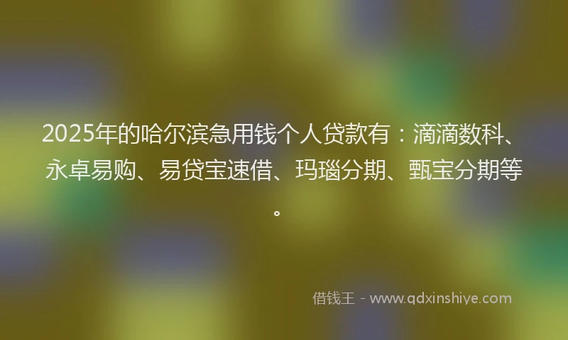 2025年的哈尔滨急用钱个人贷款有：滴滴数科、永卓易购、易贷宝速借、玛瑙分期、甄宝分期等。