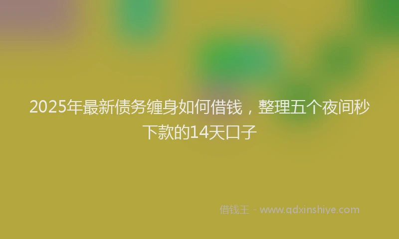 2025年最新债务缠身如何借钱，整理五个夜间秒下款的14天口子