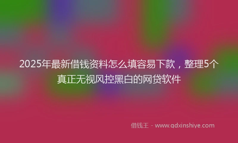 2025年最新借钱资料怎么填容易下款，整理5个真正无视风控黑白的网贷软件