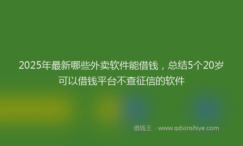 2025年最新哪些外卖软件能借钱，总结5个20岁可以借钱平台不查征信的软件