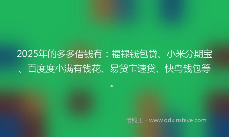 2025年的多多借钱有：福禄钱包贷、小米分期宝、百度度小满有钱花、易贷宝速贷、快鸟钱包等。