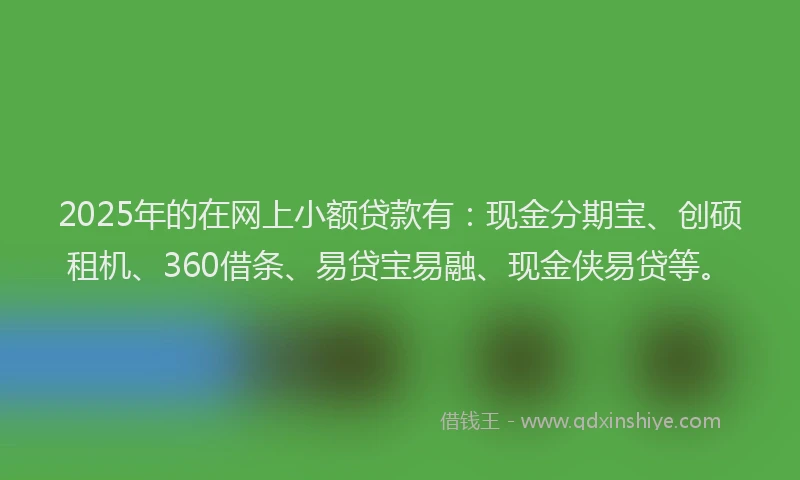 2025年的在网上小额贷款有：现金分期宝、创硕租机、360借条、易贷宝易融、现金侠易贷等。