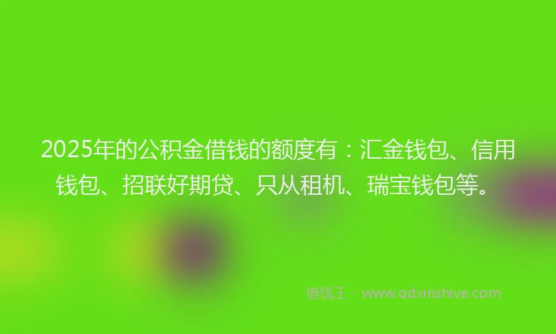 2025年的公积金借钱的额度有：汇金钱包、信用钱包、招联好期贷、只从租机、瑞宝钱包等。