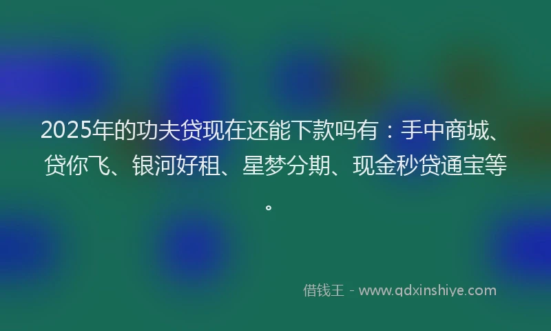 2025年的功夫贷现在还能下款吗有：手中商城、贷你飞、银河好租、星梦分期、现金秒贷通宝等。