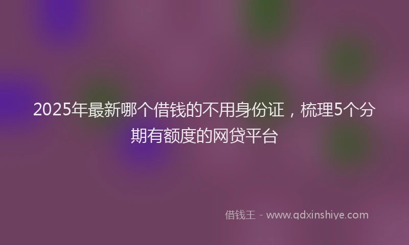 2025年最新哪个借钱的不用身份证，梳理5个分期有额度的网贷平台