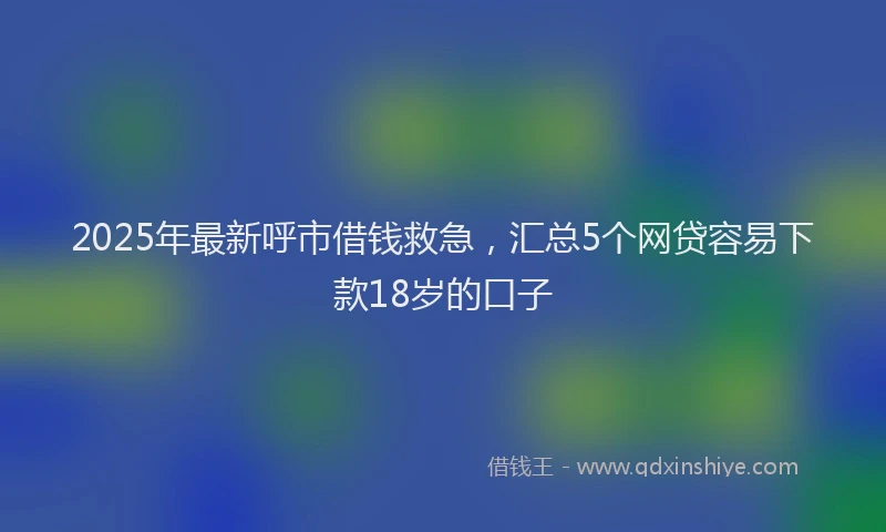 2025年最新呼市借钱救急，汇总5个网贷容易下款18岁的口子