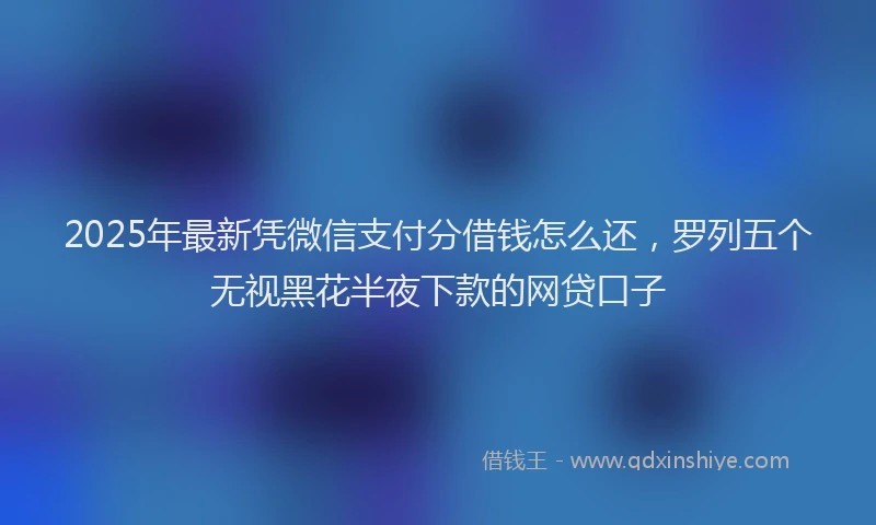 2025年最新凭微信支付分借钱怎么还，罗列五个无视黑花半夜下款的网贷口子