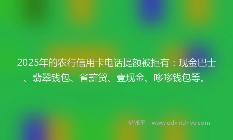 2025年的农行信用卡电话提额被拒有：现金巴士、翡翠钱包、省薪贷、壹现金、哆哆钱包等。