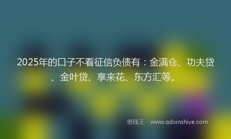 2025年的口子不看征信负债有：金满仓、功夫贷、金叶贷、享来花、东方汇等。