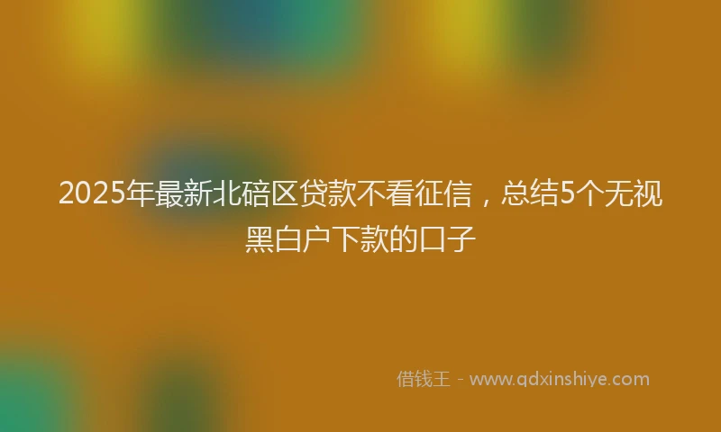 2025年最新北碚区贷款不看征信，总结5个无视黑白户下款的口子
