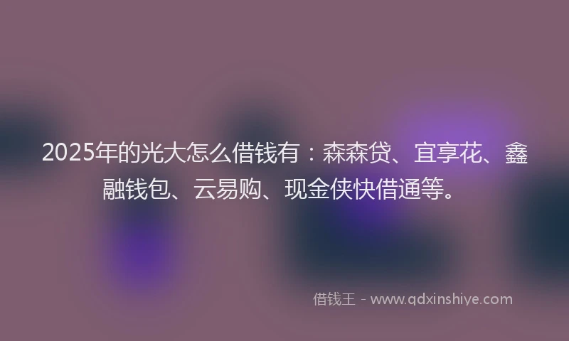 2025年的光大怎么借钱有：森森贷、宜享花、鑫融钱包、云易购、现金侠快借通等。