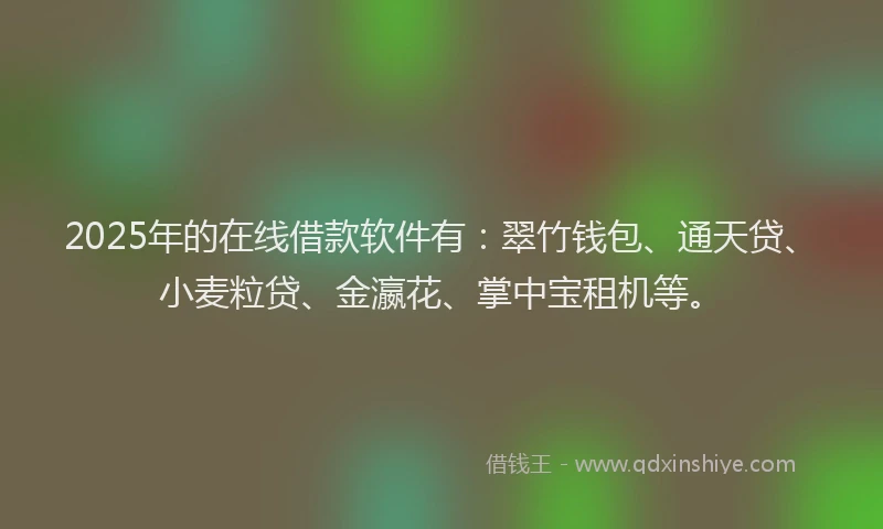 2025年的在线借款软件有：翠竹钱包、通天贷、小麦粒贷、金瀛花、掌中宝租机等。