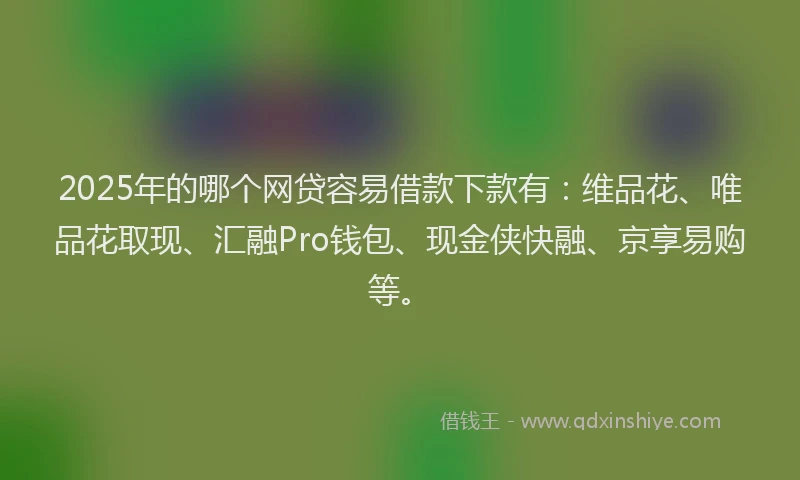 2025年的哪个网贷容易借款下款有：维品花、唯品花取现、汇融Pro钱包、现金侠快融、京享易购等。