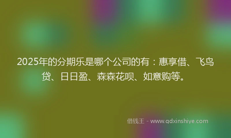 2025年的分期乐是哪个公司的有：惠享借、飞鸟贷、日日盈、森森花呗、如意购等。