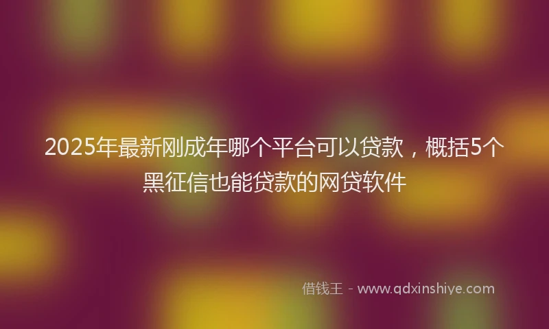 2025年最新刚成年哪个平台可以贷款，概括5个黑征信也能贷款的网贷软件