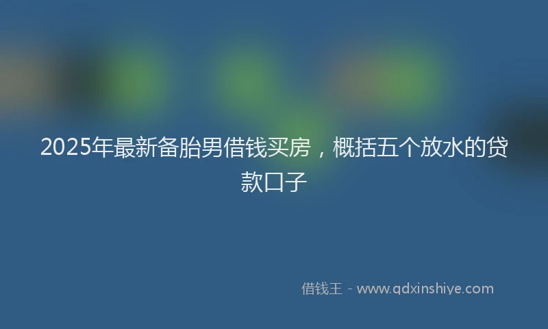 2025年最新备胎男借钱买房，概括五个放水的贷款口子