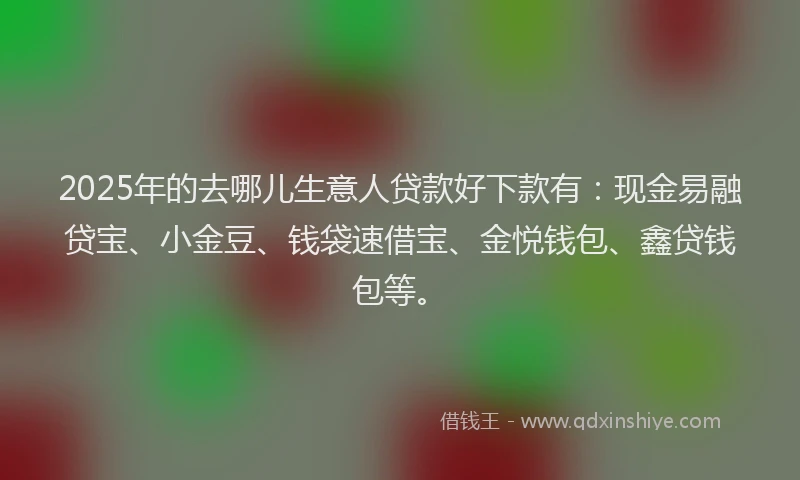 2025年的去哪儿生意人贷款好下款有：现金易融贷宝、小金豆、钱袋速借宝、金悦钱包、鑫贷钱包等。