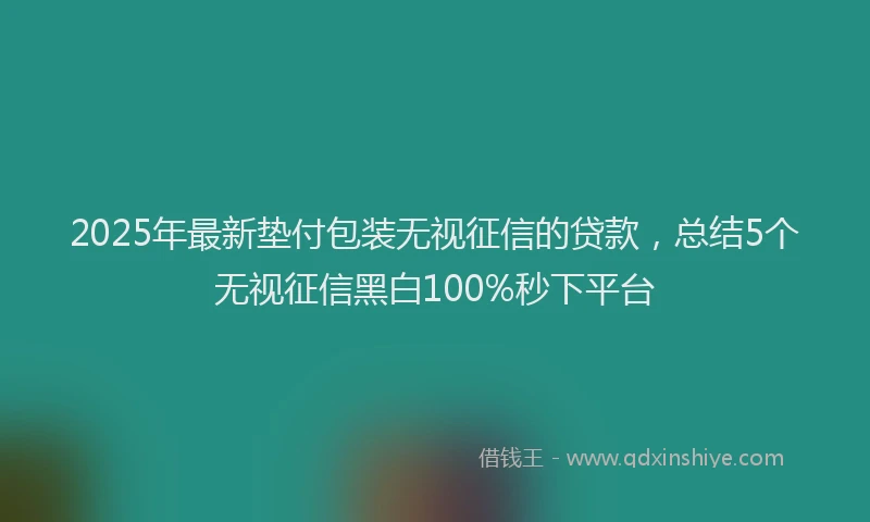 2025年最新垫付包装无视征信的贷款，总结5个无视征信黑白100%秒下平台