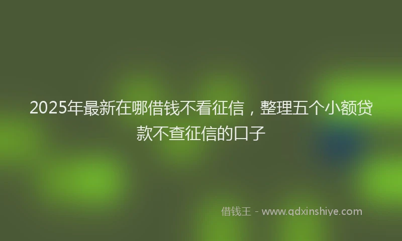 2025年最新在哪借钱不看征信，整理五个小额贷款不查征信的口子
