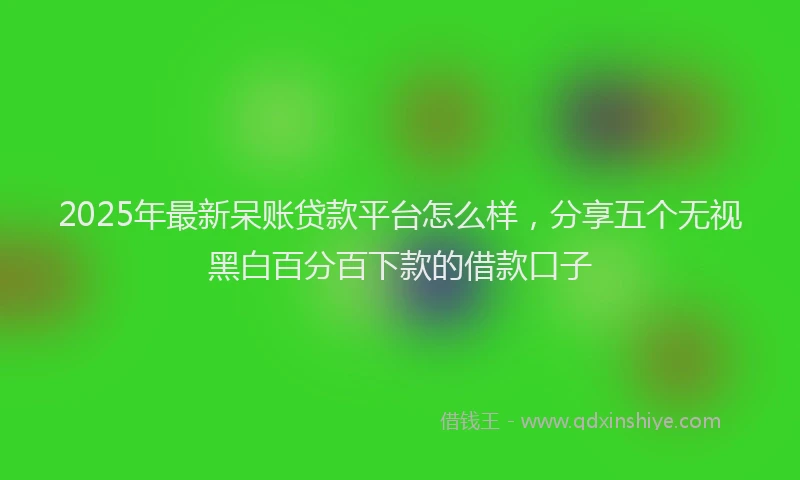 2025年最新呆账贷款平台怎么样，分享五个无视黑白百分百下款的借款口子