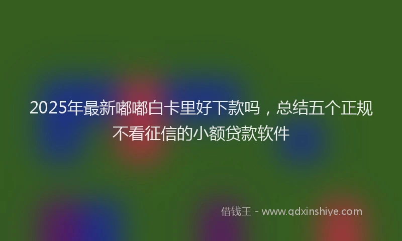 2025年最新嘟嘟白卡里好下款吗，总结五个正规不看征信的小额贷款软件