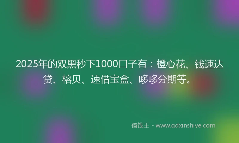 2025年的双黑秒下1000口子有：橙心花、钱速达贷、榕贝、速借宝盒、哆哆分期等。
