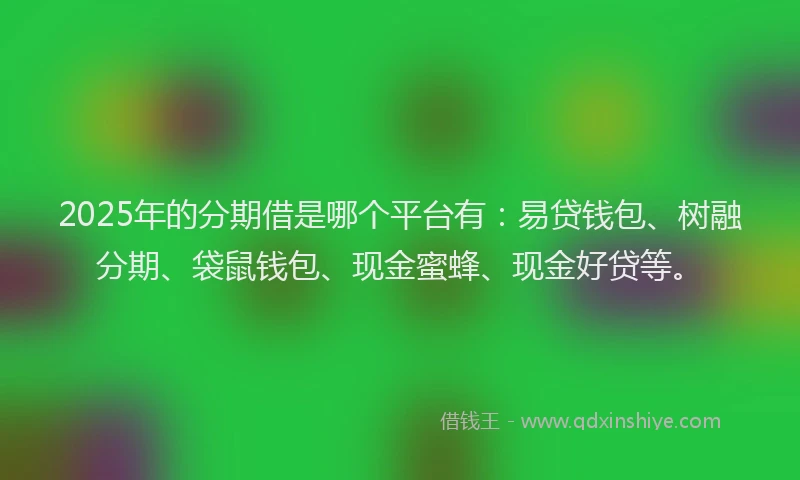 2025年的分期借是哪个平台有：易贷钱包、树融分期、袋鼠钱包、现金蜜蜂、现金好贷等。
