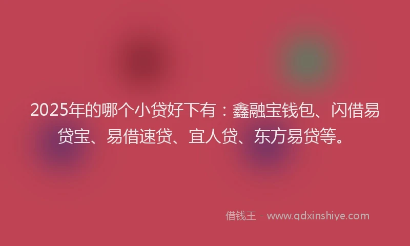 2025年的哪个小贷好下有：鑫融宝钱包、闪借易贷宝、易借速贷、宜人贷、东方易贷等。