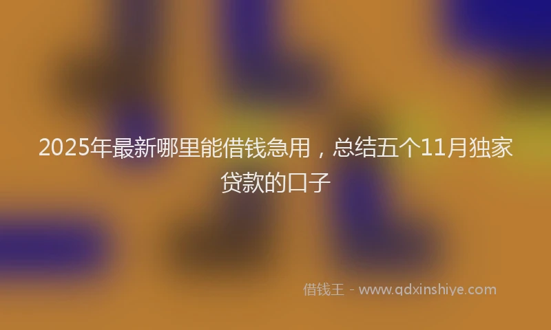 2025年最新哪里能借钱急用，总结五个11月独家贷款的口子