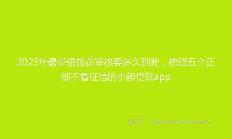 2025年最新借钱花审核要多久到账，梳理五个正规不看征信的小额贷款app