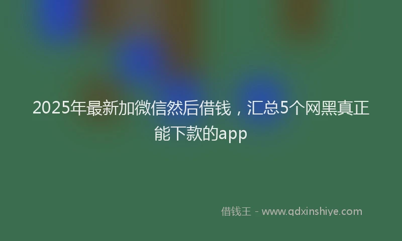 2025年最新加微信然后借钱，汇总5个网黑真正能下款的app