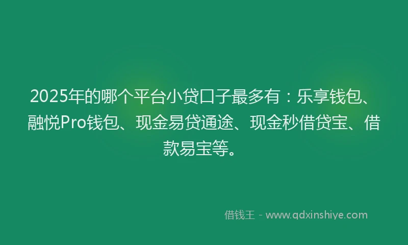 2025年的哪个平台小贷口子最多有：乐享钱包、融悦Pro钱包、现金易贷通途、现金秒借贷宝、借款易宝等。