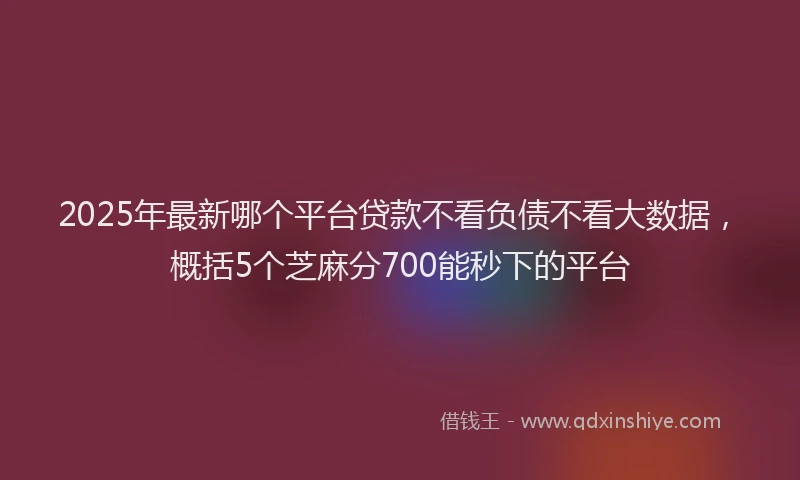 2025年最新哪个平台贷款不看负债不看大数据，概括5个芝麻分700能秒下的平台