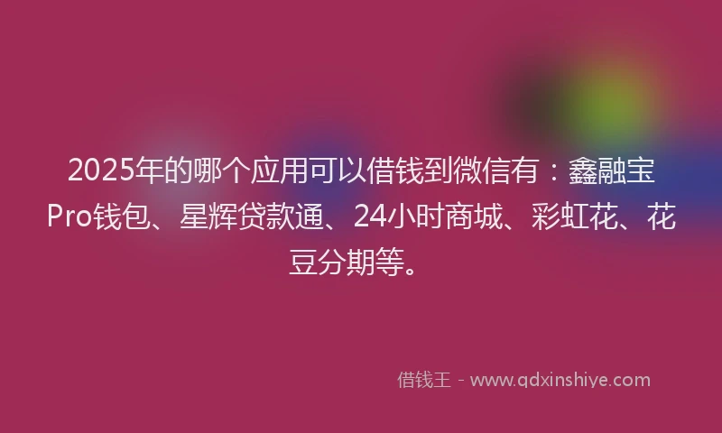 2025年的哪个应用可以借钱到微信有：鑫融宝Pro钱包、星辉贷款通、24小时商城、彩虹花、花豆分期等。