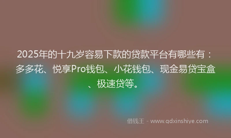 2025年的十九岁容易下款的贷款平台有哪些有：多多花、悦享Pro钱包、小花钱包、现金易贷宝盒、极速贷等。