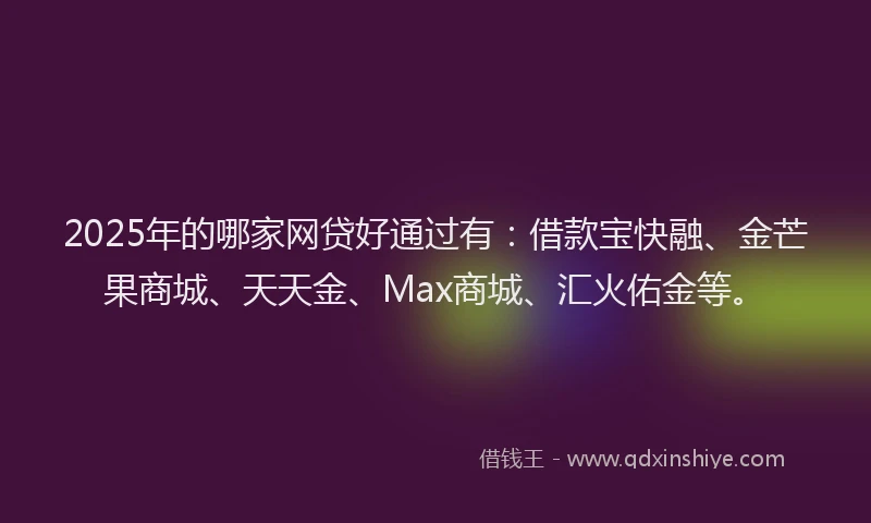 2025年的哪家网贷好通过有：借款宝快融、金芒果商城、天天金、Max商城、汇火佑金等。
