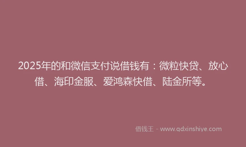 2025年的和微信支付说借钱有：微粒快贷、放心借、海印金服、爱鸿森快借、陆金所等。