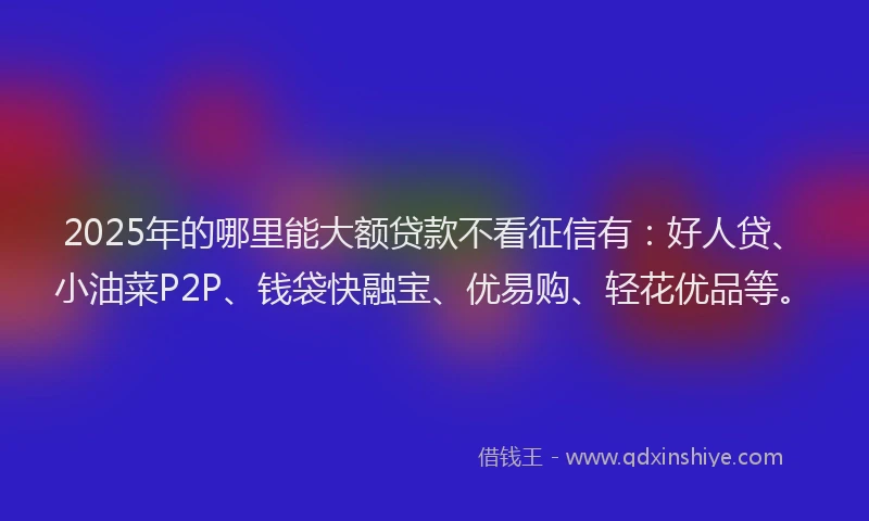 2025年的哪里能大额贷款不看征信有：好人贷、小油菜P2P、钱袋快融宝、优易购、轻花优品等。