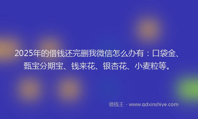 2025年的借钱还完删我微信怎么办有：口袋金、甄宝分期宝、钱来花、银杏花、小麦粒等。