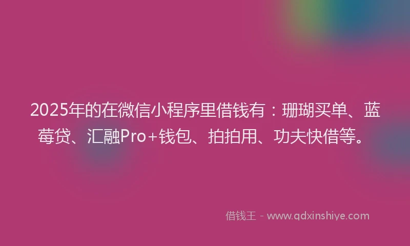 2025年的在微信小程序里借钱有：珊瑚买单、蓝莓贷、汇融Pro+钱包、拍拍用、功夫快借等。