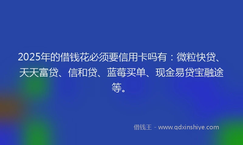 2025年的借钱花必须要信用卡吗有：微粒快贷、天天富贷、信和贷、蓝莓买单、现金易贷宝融途等。