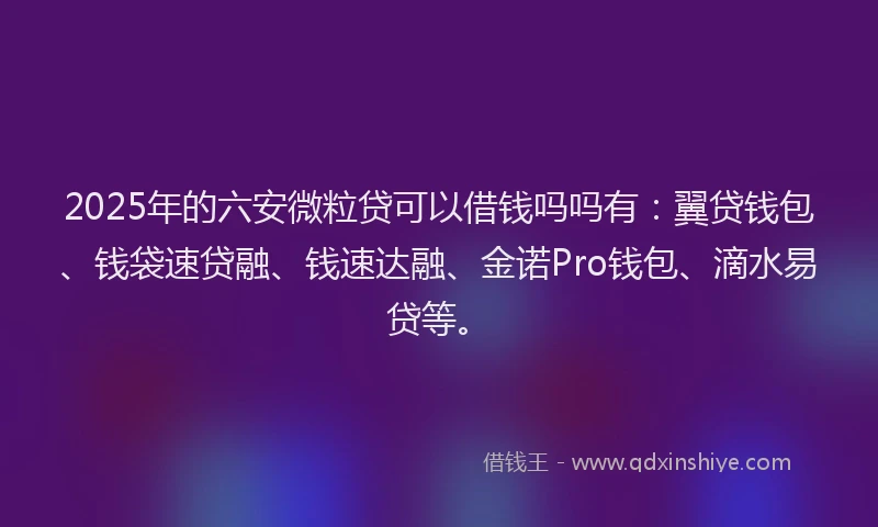 2025年的六安微粒贷可以借钱吗吗有：翼贷钱包、钱袋速贷融、钱速达融、金诺Pro钱包、滴水易贷等。