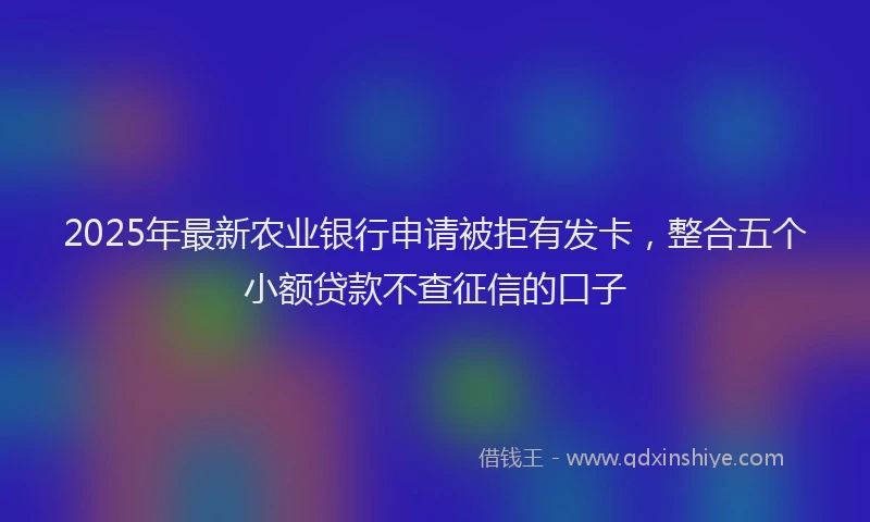 2025年最新农业银行申请被拒有发卡，整合五个小额贷款不查征信的口子