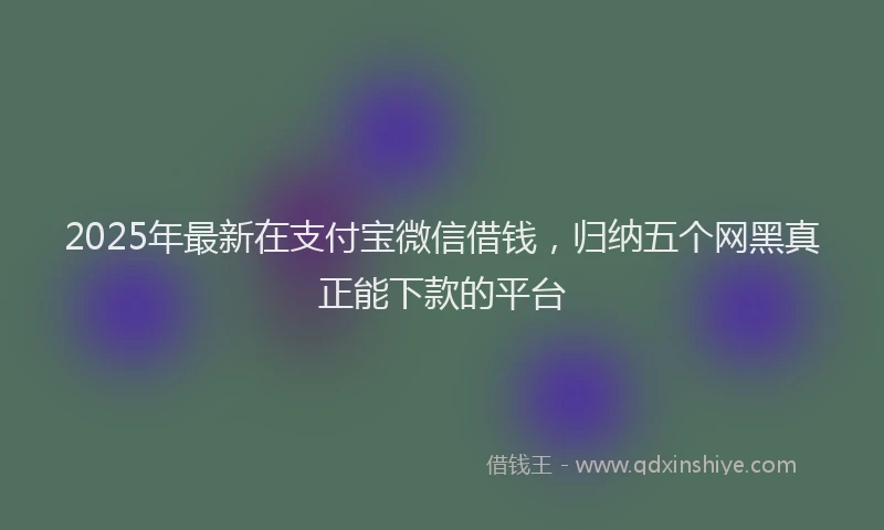2025年最新在支付宝微信借钱，归纳五个网黑真正能下款的平台