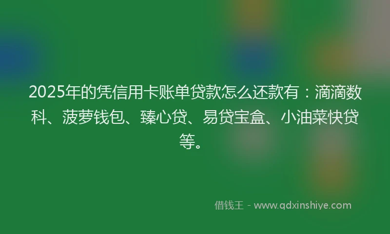 2025年的凭信用卡账单贷款怎么还款有：滴滴数科、菠萝钱包、臻心贷、易贷宝盒、小油菜快贷等。