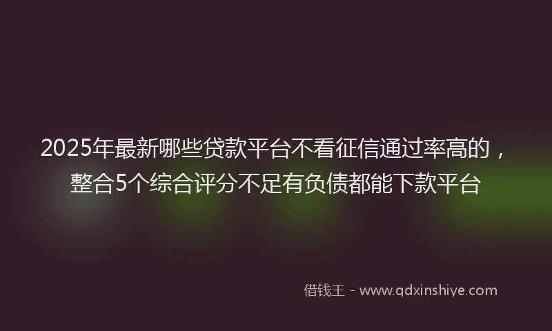 2025年最新哪些贷款平台不看征信通过率高的，整合5个综合评分不足有负债都能下款平台